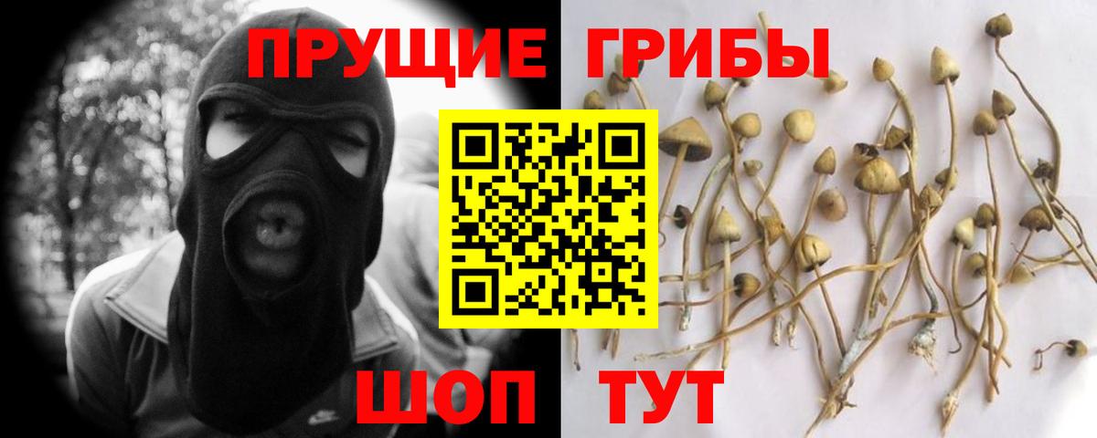 Псилоцибиновые грибы ЛСД Коломна